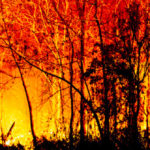 Evitar los incendios forestales es responsabilidad de todos