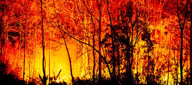Evitar los incendios forestales es responsabilidad de todos